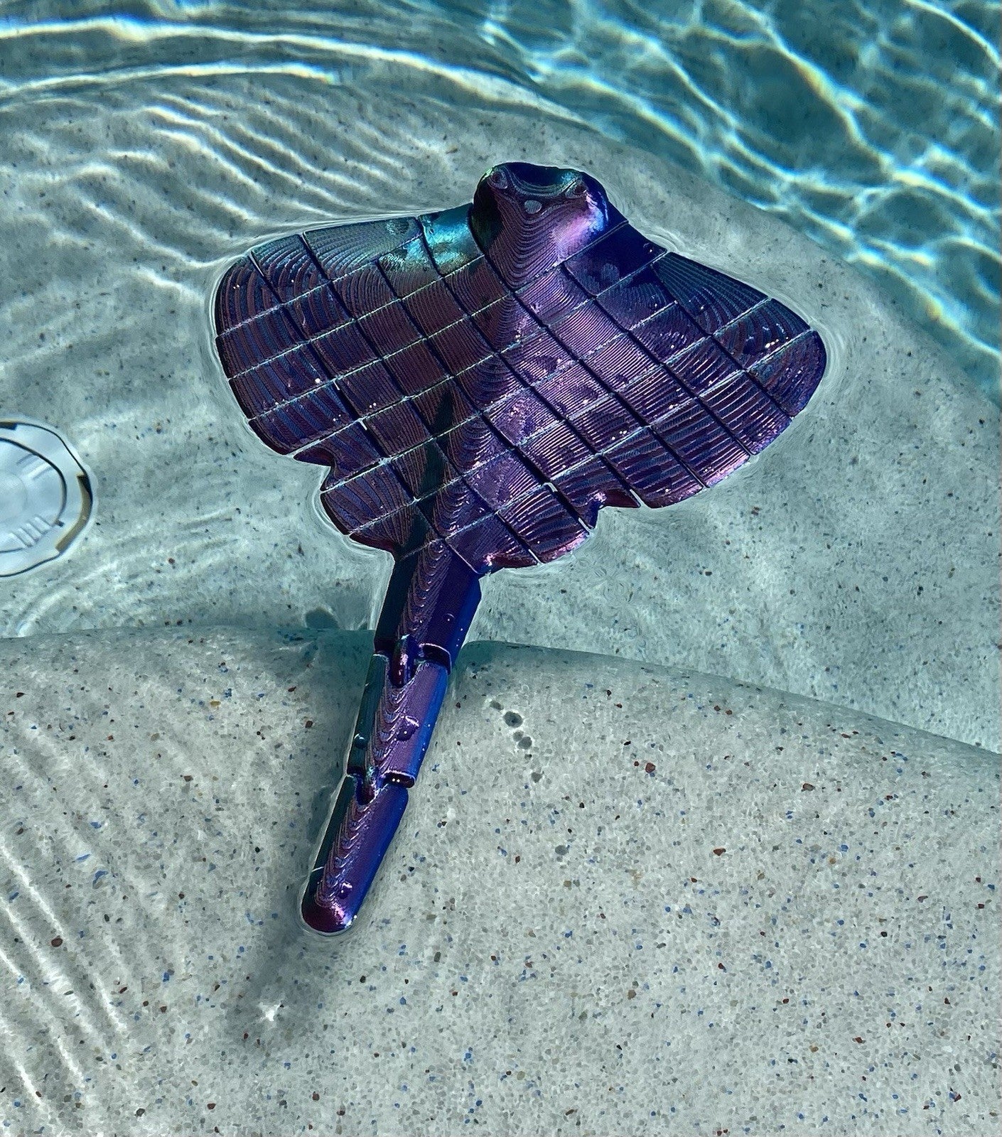 3D Printed Manta Ray SWIM TOY Fish Tank Fidget Toys KIDS Flexible Floats,￼Ocean