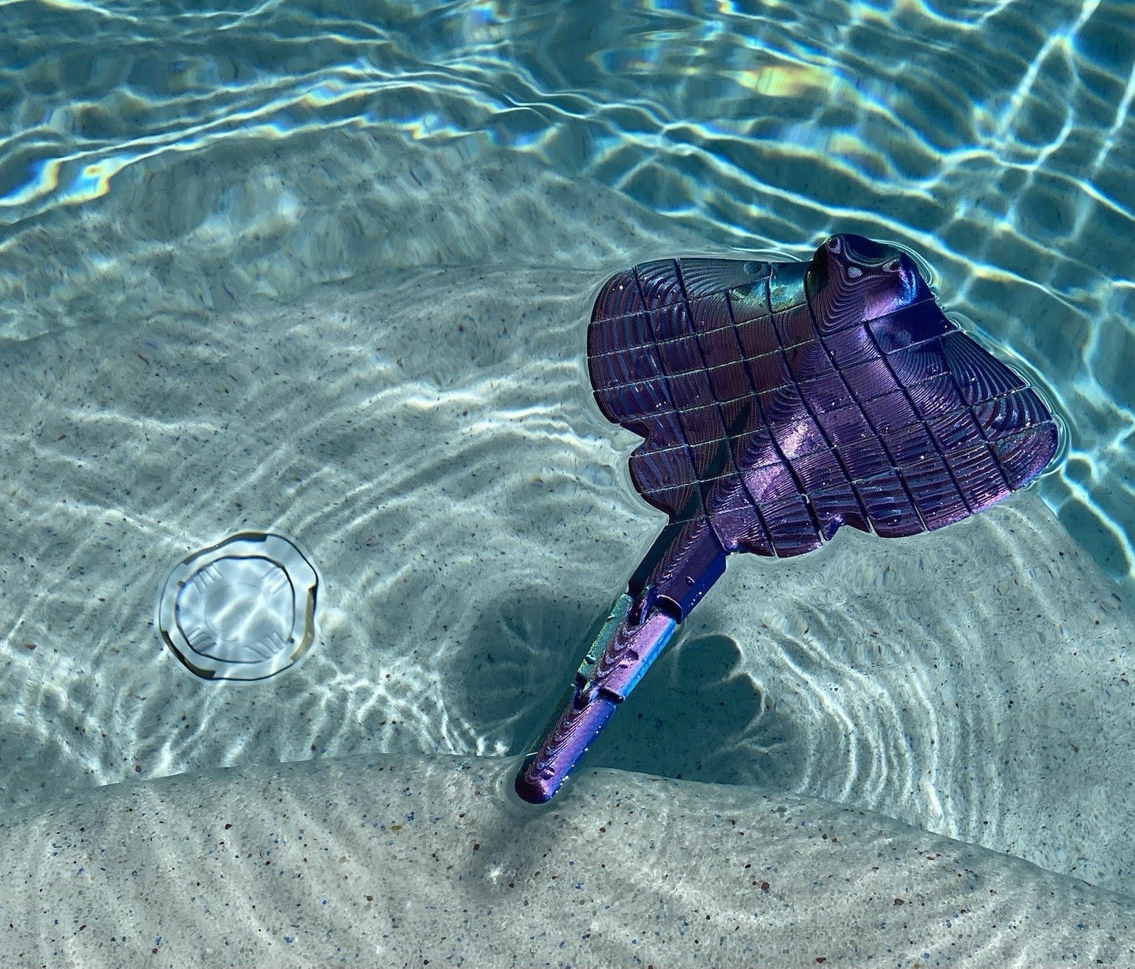 3D Printed Manta Ray SWIM TOY Fish Tank Fidget Toys KIDS Flexible Floats,￼Ocean