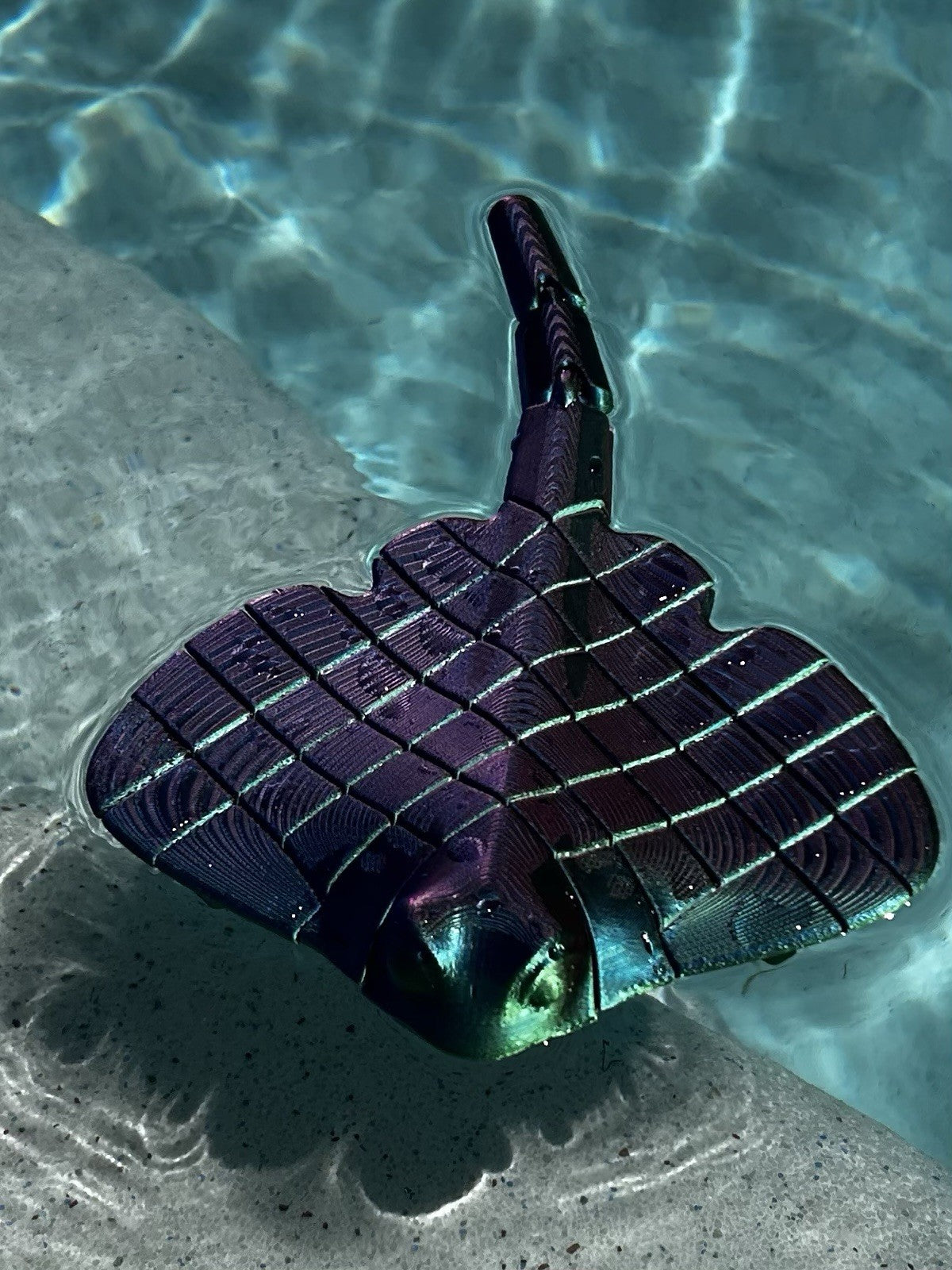 3D Printed Manta Ray SWIM TOY Fish Tank Fidget Toys KIDS Flexible Floats,￼Ocean